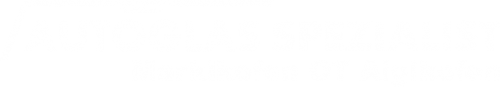Logo Autoglas Spezialist in Marklkofen OT Aiglkofen
