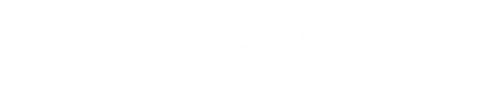 Logo Autoglas Spezialist in Burgthann