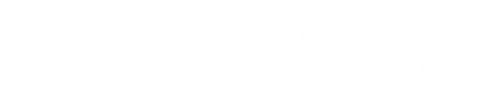 Logo Autoglas Spezialist in Bad Hönningen