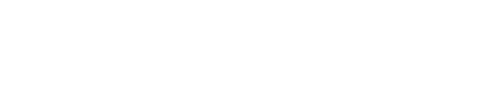 Logo Autoglas Spezialist in Bad Neuenahr-Ahrweiler