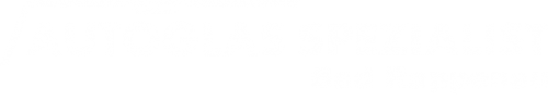 Logo Autoglas Spezialist in Bad Rappenau
