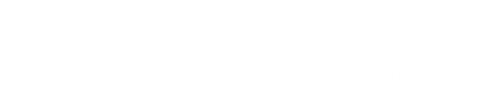 Logo Autoglas Spezialist in Bad Hersfeld
