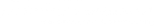 Logo Autoglas Spezialist in Bargteheide-Ahrensburg