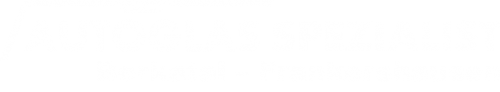 Logo Autoglas Spezialist in Berkatal – Frankershausen