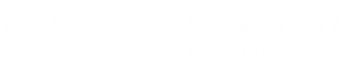 Logo Autoglas Spezialist in Bischofswerda