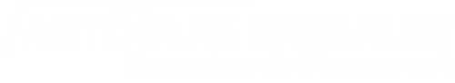Logo Autoglas Spezialist in Burgebrach-Stegaurach