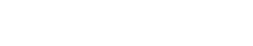 Logo Autoglas Spezialist in Burgstädt