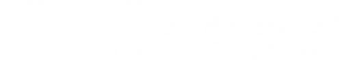 Logo Autoglas Spezialist in Chemnitz-Wittgensdorf