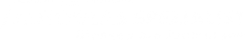 Logo AGS GmbH