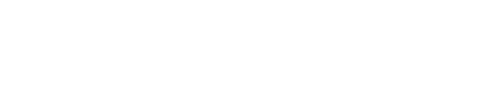 Logo Autoglas Spezialist in Dresden