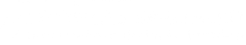 Logo Autoglas Spezialist in Effeltrich-Forchheim-Baiersdorf