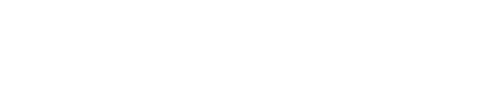 Logo Autoglas Spezialist in Feldkirchen-Westerham