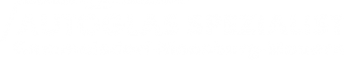 Logo Autoglas Spezialist in Gammelsdorf-Moosburg-Mauern