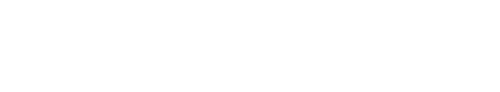 Logo AGS GmbH