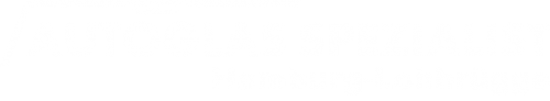 Logo Autoglas Spezialist in Hamburg-Lohbrügge