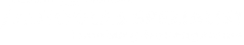 Logo Autoglas Spezialist in Hamburg-Neuengamme