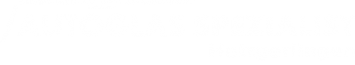 Logo Autoglas Spezialist in Holzgerlingen