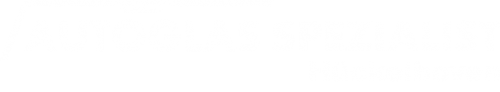 Logo Autoglas Spezialist in Hückelhoven