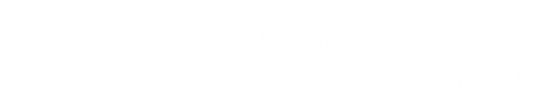 Logo Autoglas Spezialist in Rees Isselburg