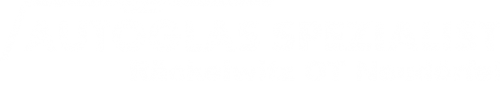 Logo Autoglas Spezialist in Räckelwitz OT Neudörfel