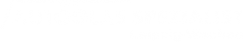 Logo Autoglas Spezialist in Leipzig
