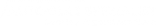 Logo Autoglas Spezialist in Lenting