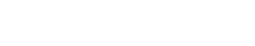 Logo Autoglas Spezialist in Lüchow
