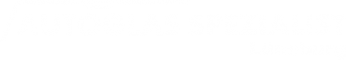 Logo Autoglas Spezialist in Lüneburg