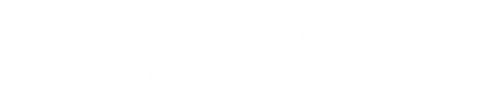 Logo Autoglas Spezialist in Lutherstadt Wittenberg