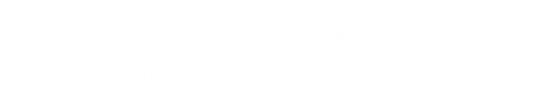 Logo Autoglas Spezialist in Mainburg-Hallertau-Leibersdorf