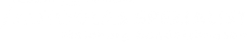 Logo Autoglas Spezialist in Mainburg-Sandelzhausen