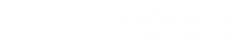 Logo Autoglas Spezialist in Marktheidenfeld