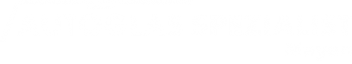 Logo Autoglas Spezialist in Mayen