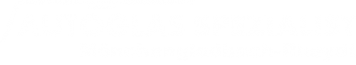 Logo Autoglas Spezialist in Mönchengladbach-Rheydt