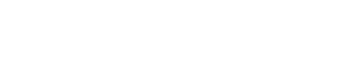 Logo Autoglas Spezialist in Mörsdorf-Hilpoltstein
