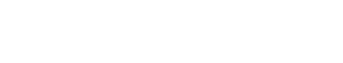 Logo Autoglas Spezialist in Mulfingen-Buchenbach