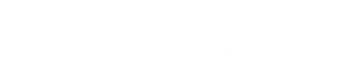 Logo Autoglas Spezialist in Neckartenzlingen
