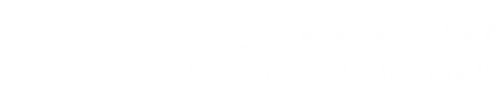 Logo Autoglas Spezialist in Neuenburg am Rhein