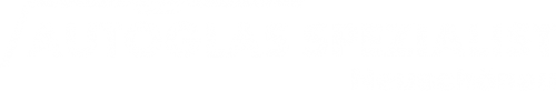 Logo AGS GmbH