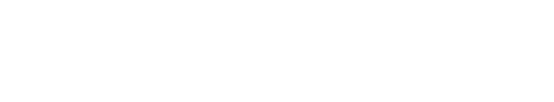Logo Autoglas Spezialist in Neustadt-am-Ruebenberge-Sued