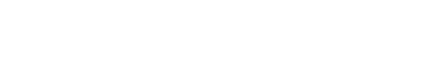 Logo Autoglas Spezialist in Nidda