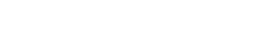 Logo Autoglas Spezialist in Osterburg-Düsedau