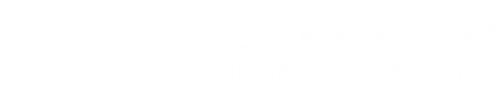 Logo Autoglas Spezialist in Otzberg/Nieder-Klingen