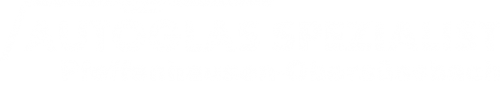 Logo Autoglas Spezialist in Pfeffenhausen-Obersüssbach