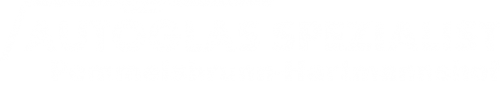 Logo Autoglas Spezialist in Hartmannshof