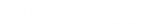 Logo Autoglas Spezialist in Prien am Chiemsee