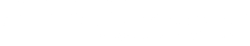 Logo Autoglas Spezialist in Raubling