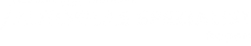 Logo Autoglas Spezialist in Regen