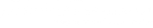 Logo Autoglas Spezialist in Regenstauf
