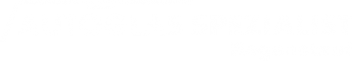 Logo Autoglas Spezialist in Regenstauf